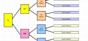 arvore genealogica disenho excel