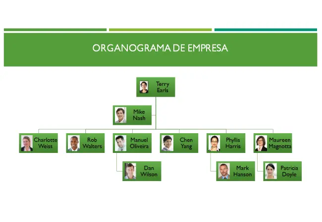 organograma powerpoint