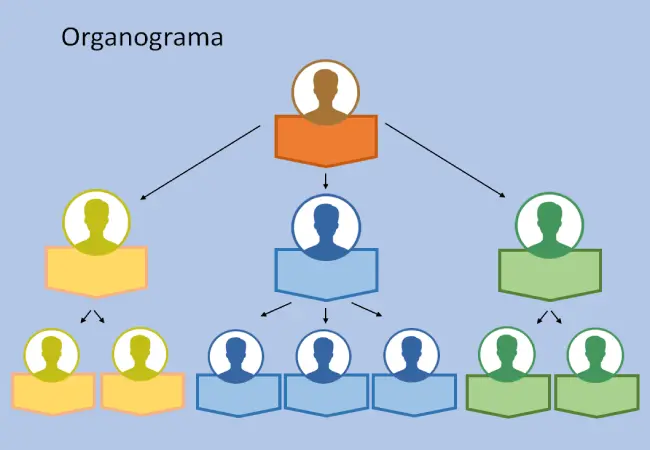 organograma a editar em powerpoint
