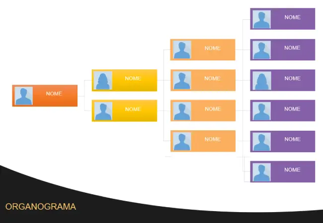 organograma para editar em word